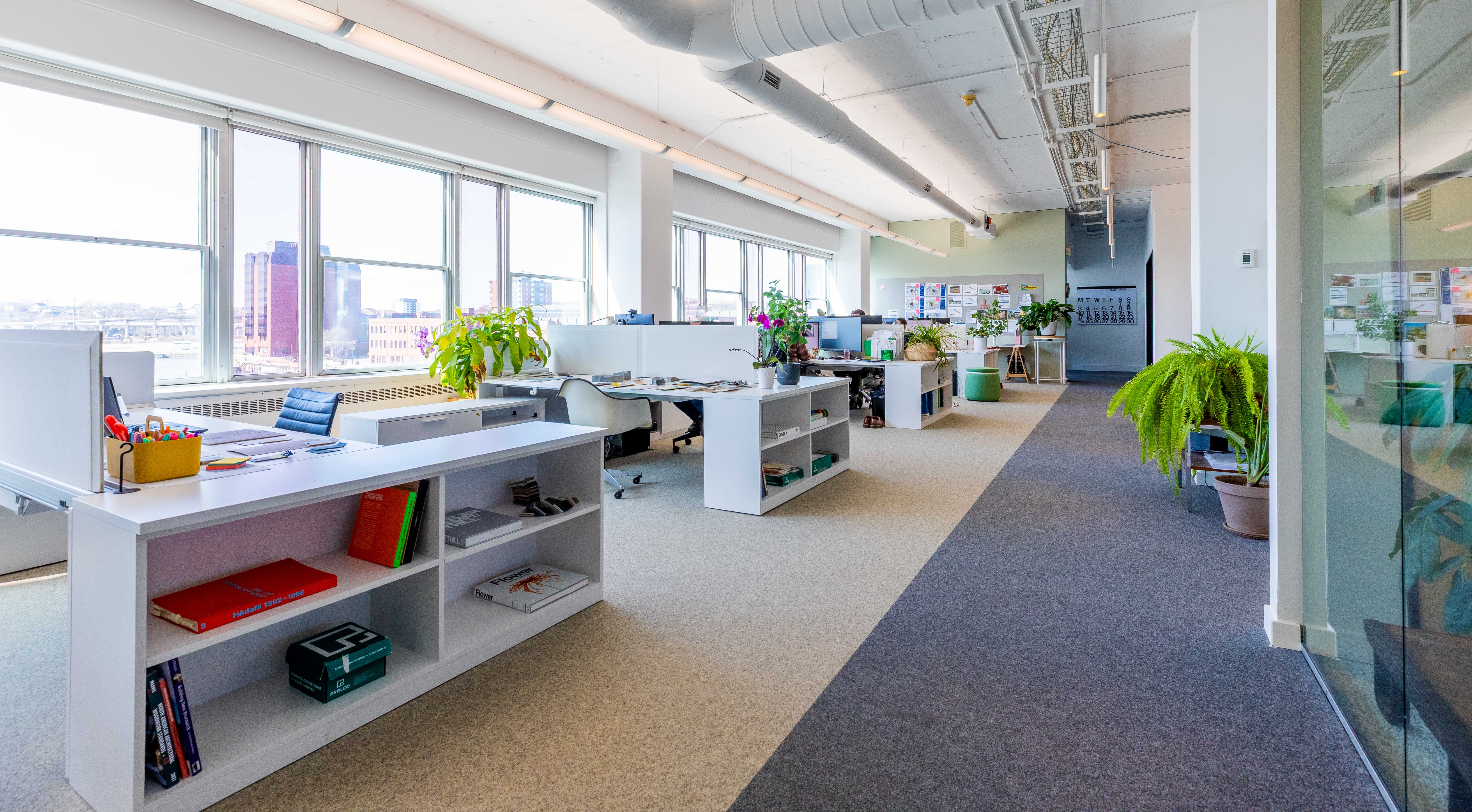 75 Prince William photo 12